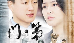 大什么门电视剧,揭秘古代宫廷的权力与爱情