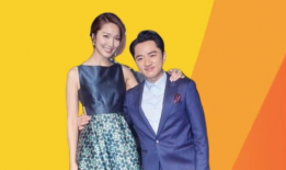 王祖蓝电视剧,喜剧人生，笑傲荧屏